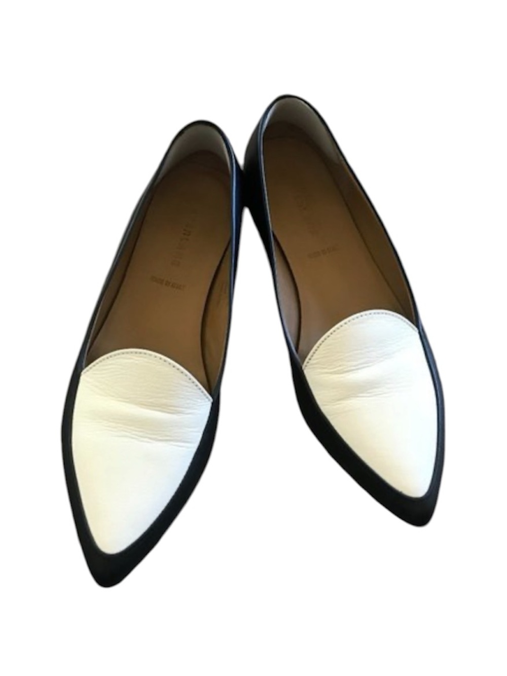 Everlane Leather the Modern Pointed Toe Flats